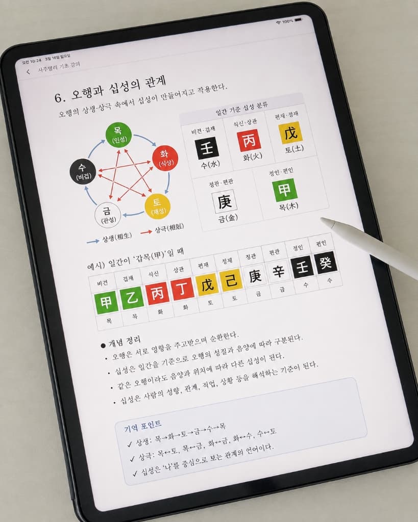 체계적인 명리 분석 리포트